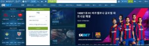 1XBET 은행송금 사라짐 이유 - 1XBET 돈의 손실을 수정하는 5가지 방법 (3)