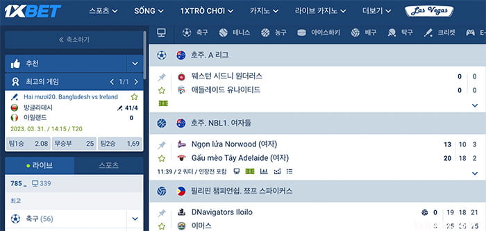 1XBET 웹사이트의 베팅 테이블