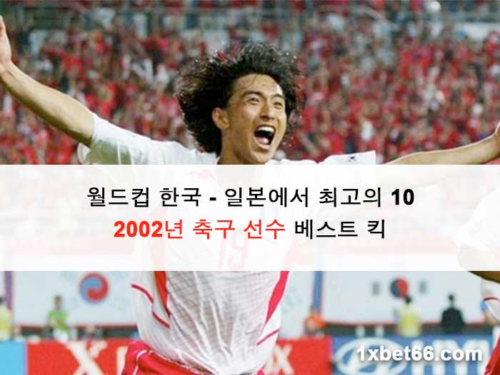 월드컵 한국 - 일본에서 최고의 10 2002년 축구 선수 베스트 킥