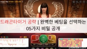 드래곤타이거 공략 | 완벽한 베팅을 선택하는 05가지 비밀 공개 드래곤타이거 공략 | 완벽한 베팅을 선택하는 05가지 비밀 공개