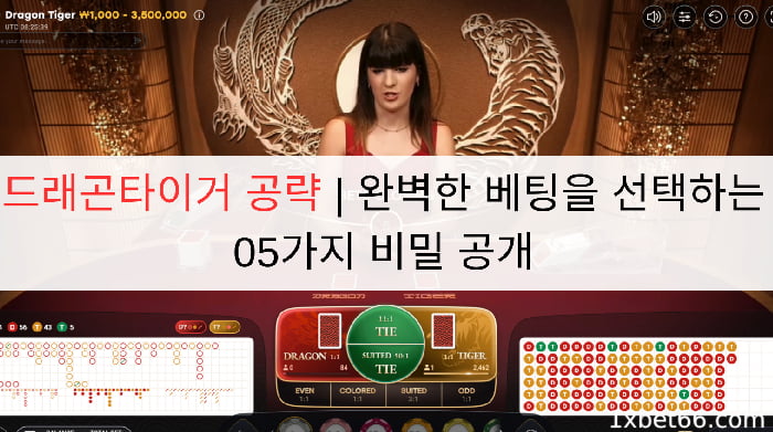 드래곤타이거 공략 | 완벽한 베팅을 선택하는 05가지 비밀 공개
