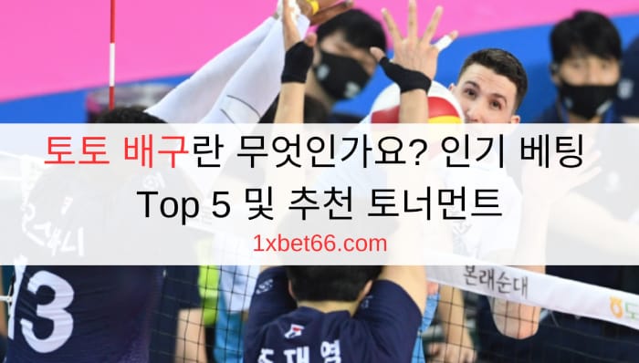 토토 배구란 무엇인가요? 인기 베팅 Top 5 및 추천 토너먼트
