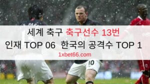 세계 축구 축구선수 13번 인재 TOP 06 - 한국의 공격수 TOP 1 세계 축구 축구선수 13번 인재 TOP 06 - 한국의 공격수 TOP 1