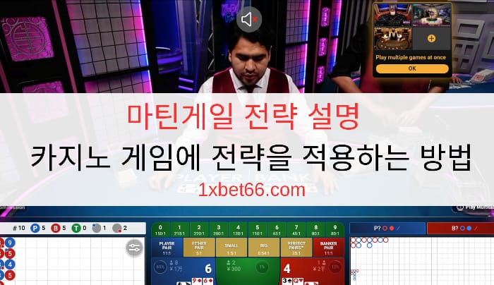 마틴게일 전략 설명 - 카지노 게임에 전략을 적용하는 방법