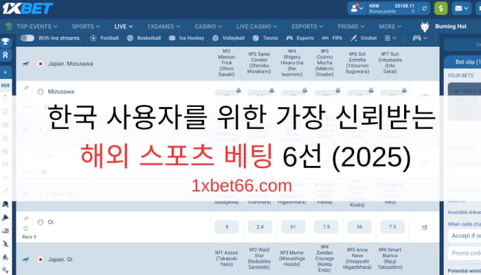 한국 사용자를 위한 가장 신뢰받는 해외 스포츠 베팅 6선 (2025)
