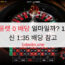 카지노 룰렛 0 배당 얼마일까? 1XBET 최신 1:35 배당 참고