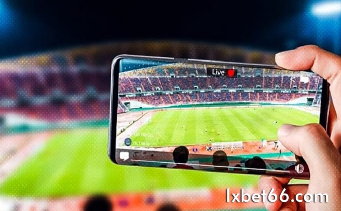 가장 인기 있는 라이브 스코어 베팅 Top 04