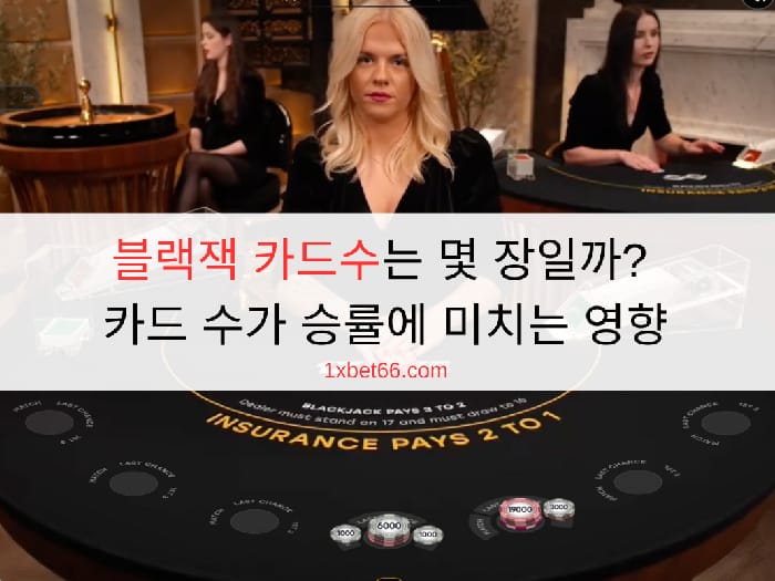 블랙잭 카드수는 몇 장일까? 카드 수가 승률에 미치는 영향
