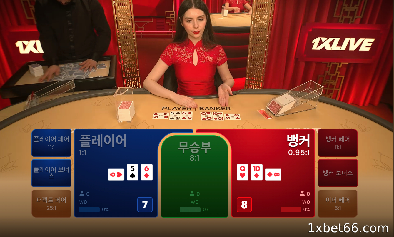 03 플레이어에만 베팅하는 전략을 효과적으로 적용하는 단계