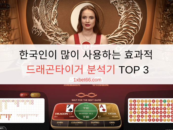 한국인이 많이 사용하는 효과적 드래곤타이거 분석기 TOP 3