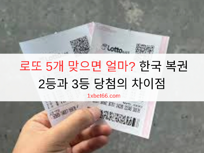 로또 5개 맞으면 얼마? 한국 복권 2등과 3등 당첨의 차이점