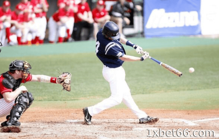 실시간 야구 베팅이란 무엇인가요?