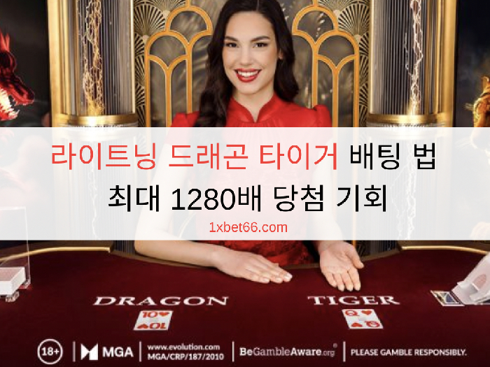 라이트닝 드래곤 타이거 배팅 법 최대 1280배 당첨 기회