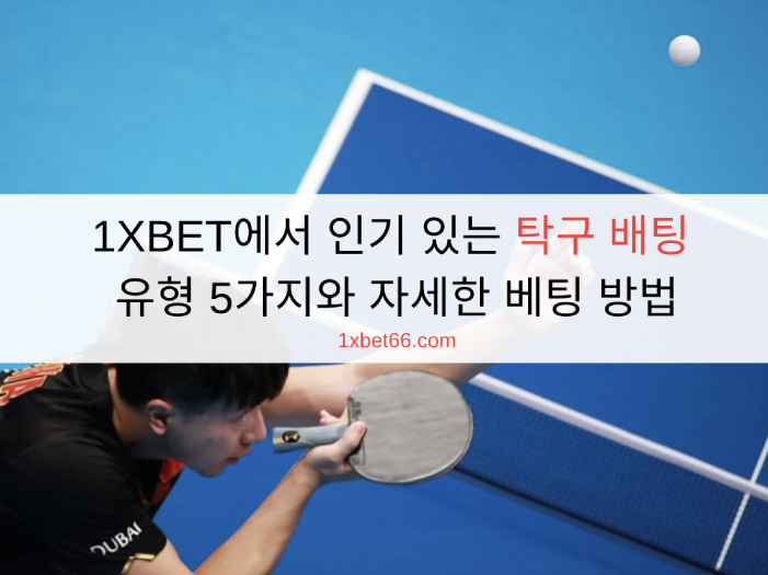 1XBET에서 인기 있는 탁구 배팅 유형 5가지와 자세한 베팅 방법
