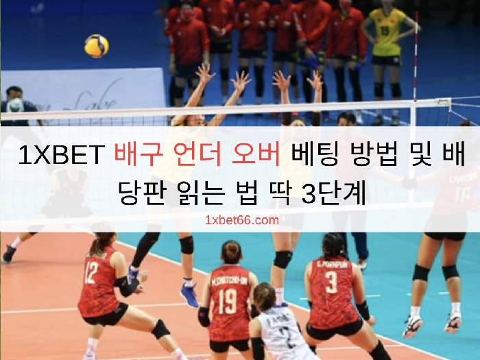1XBET 배구 언더 오버 베팅 방법 및 배당판 읽는 법 딱 3단계