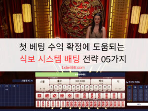 첫 베팅 수익 확정에 도움되는 식보 시스템 배팅 전략 05가지