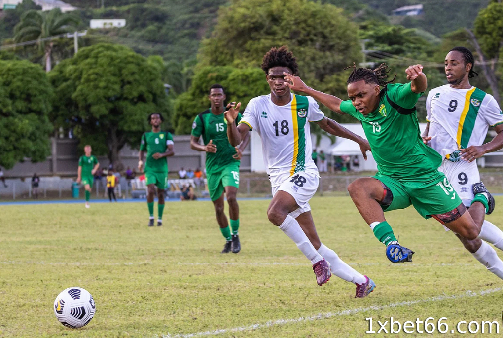 미국령 버진아일랜드 – 205위