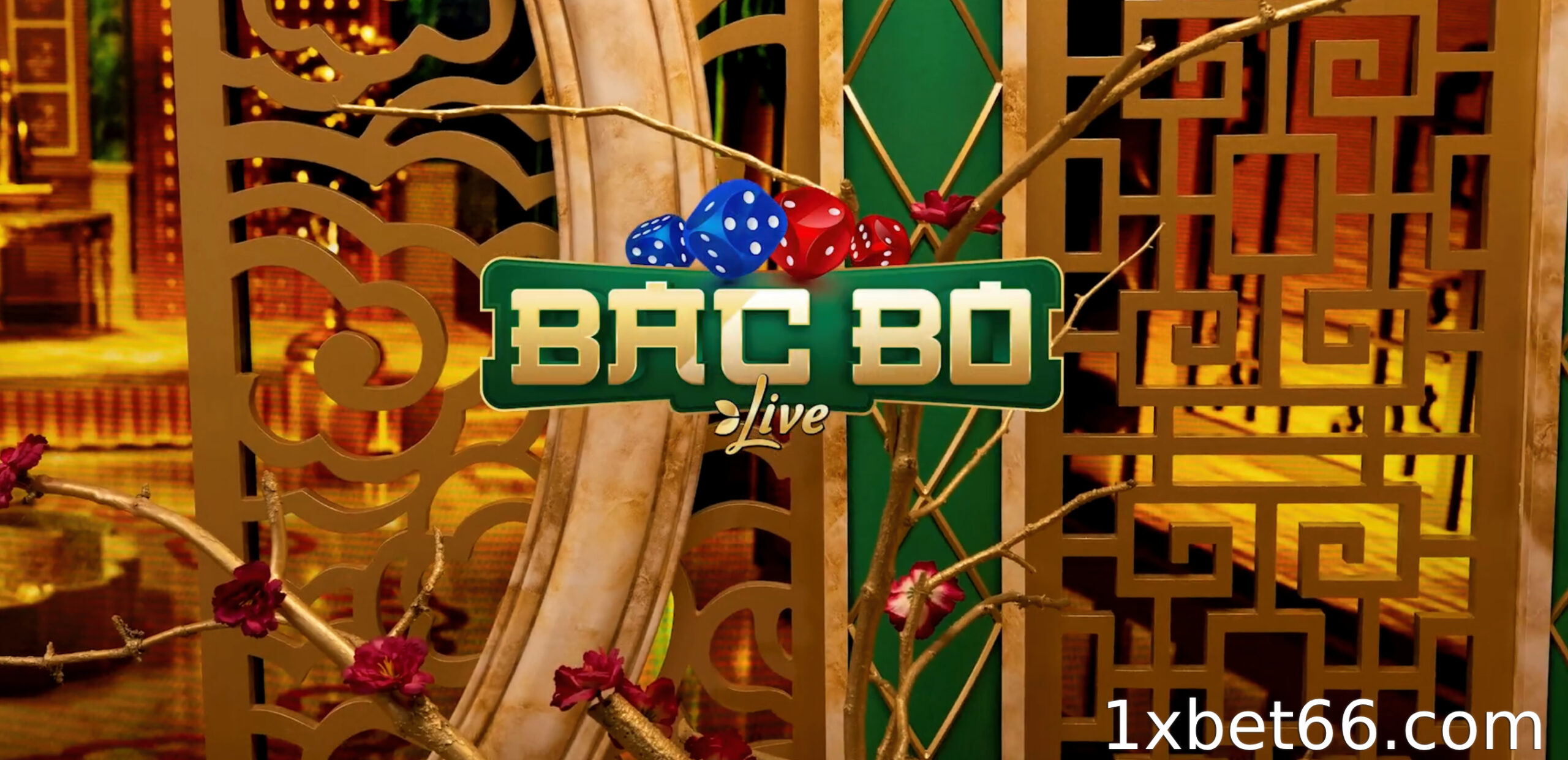 바카라 식보는 무엇인가요?