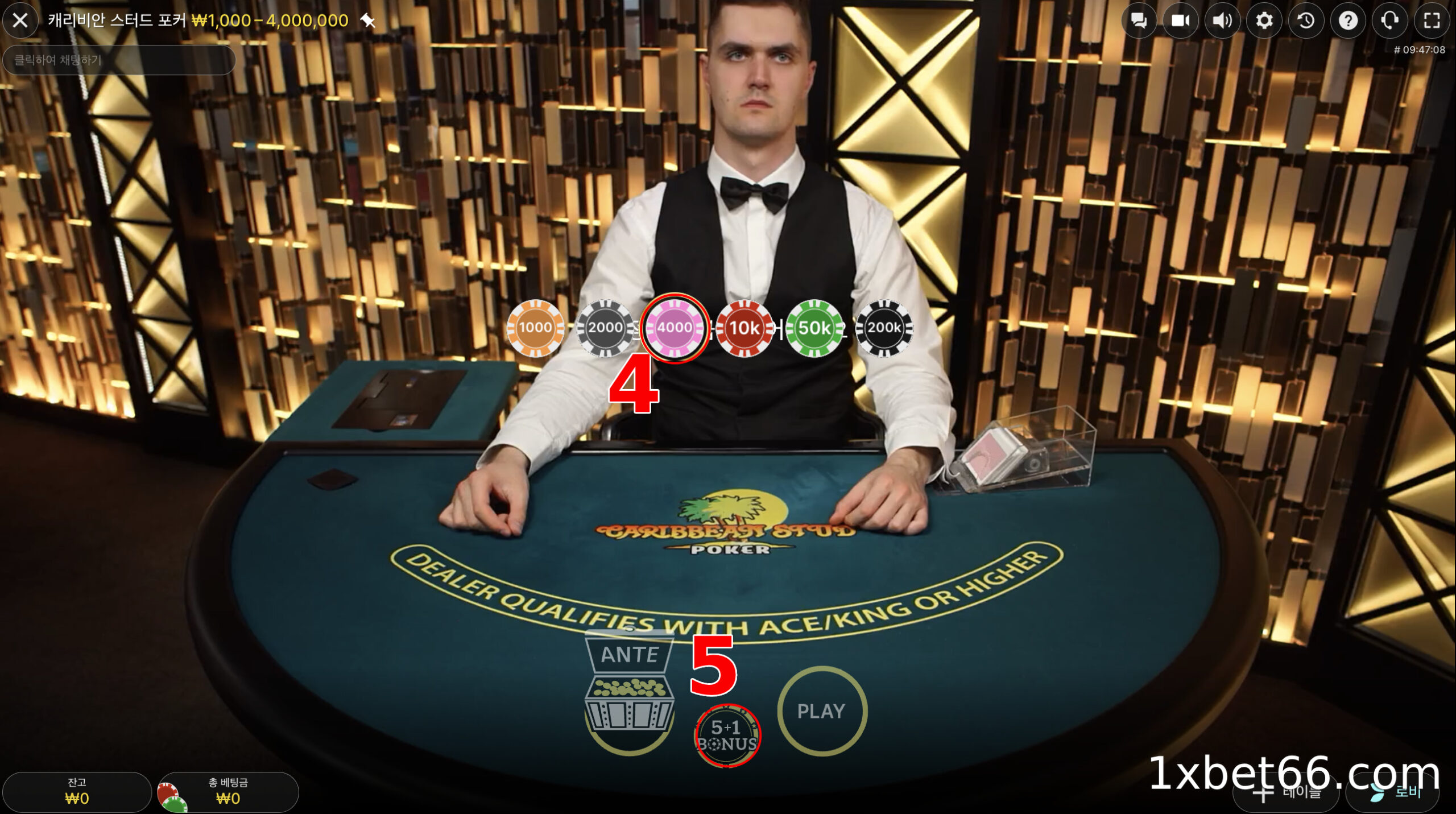 베팅을 하고 보상을 받으세요