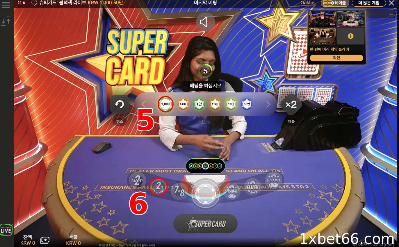 베팅을 하고 보상을 받으세요