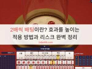 2배씩 배팅이란? 효과를 높이는 적용 방법과 리스크 완벽 정리