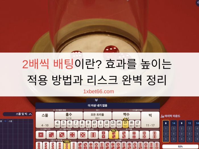 2배씩 배팅이란? 효과를 높이는 적용 방법과 리스크 완벽 정리