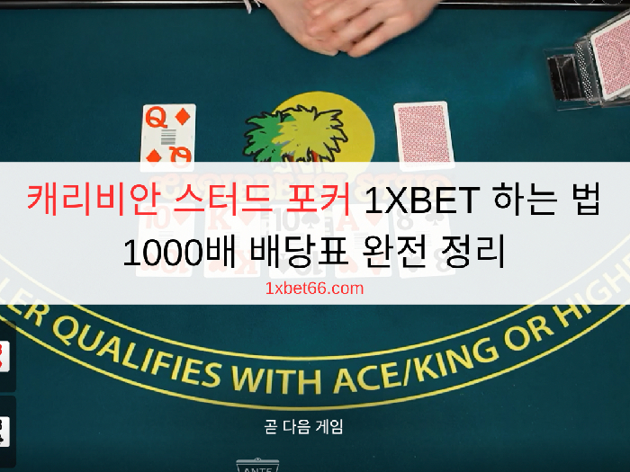 캐리비안 스터드 포커 1XBET 하는 법 - 1000배 배당표 완전 정리