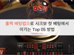 홀짝 배팅법으로 시크보 첫 베팅에서 이기는 Top 05 방법