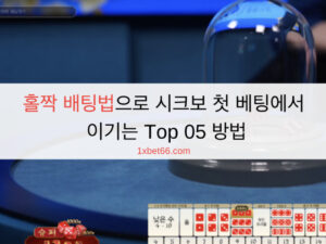 홀짝 배팅법으로 시크보 첫 베팅에서 이기는 Top 05 방법