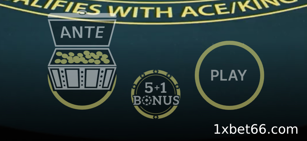 캐리비안 스터드 의 베팅 종류