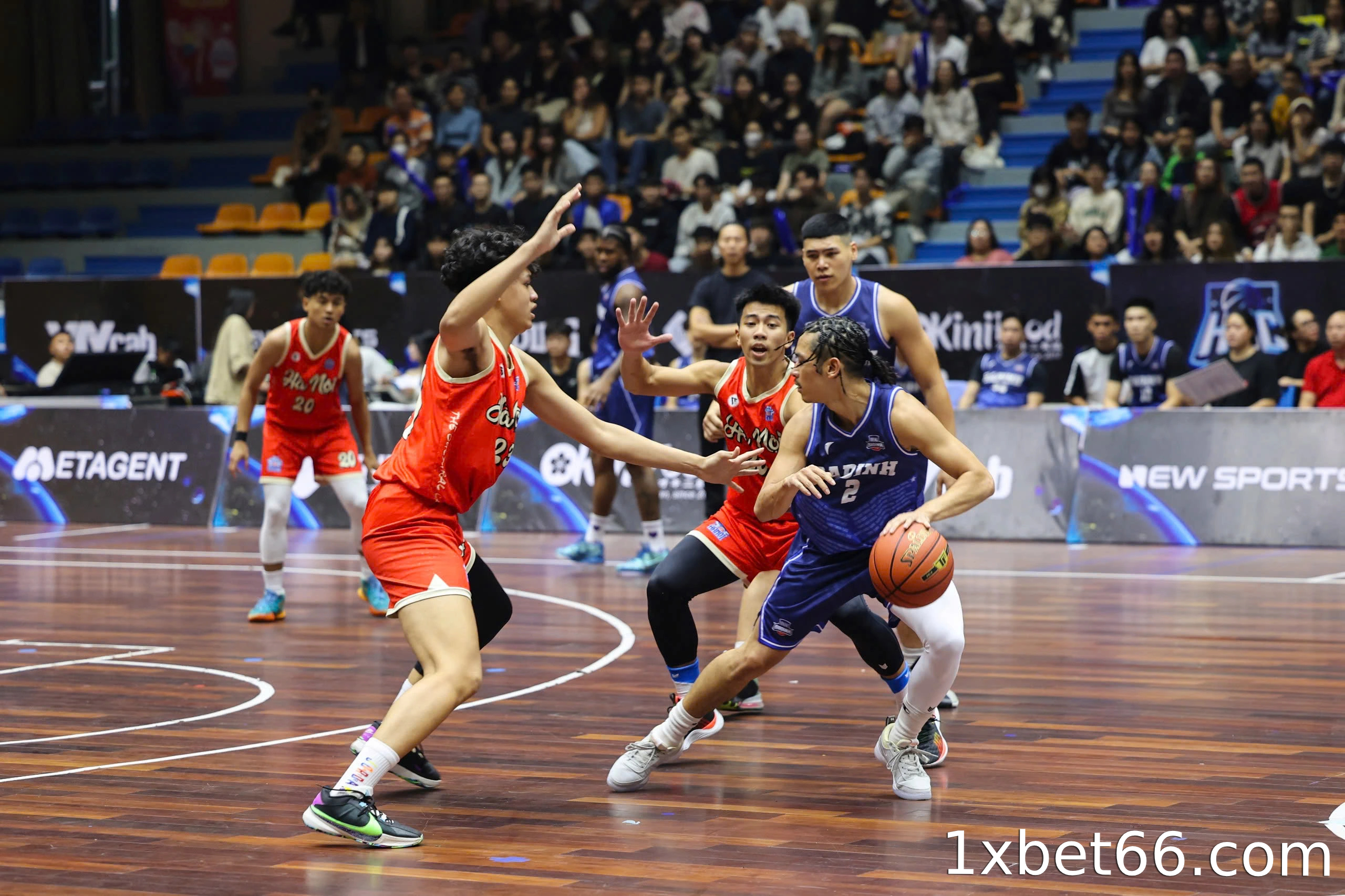 토토 농구 게임에서 이길 확률은 얼마입니까?