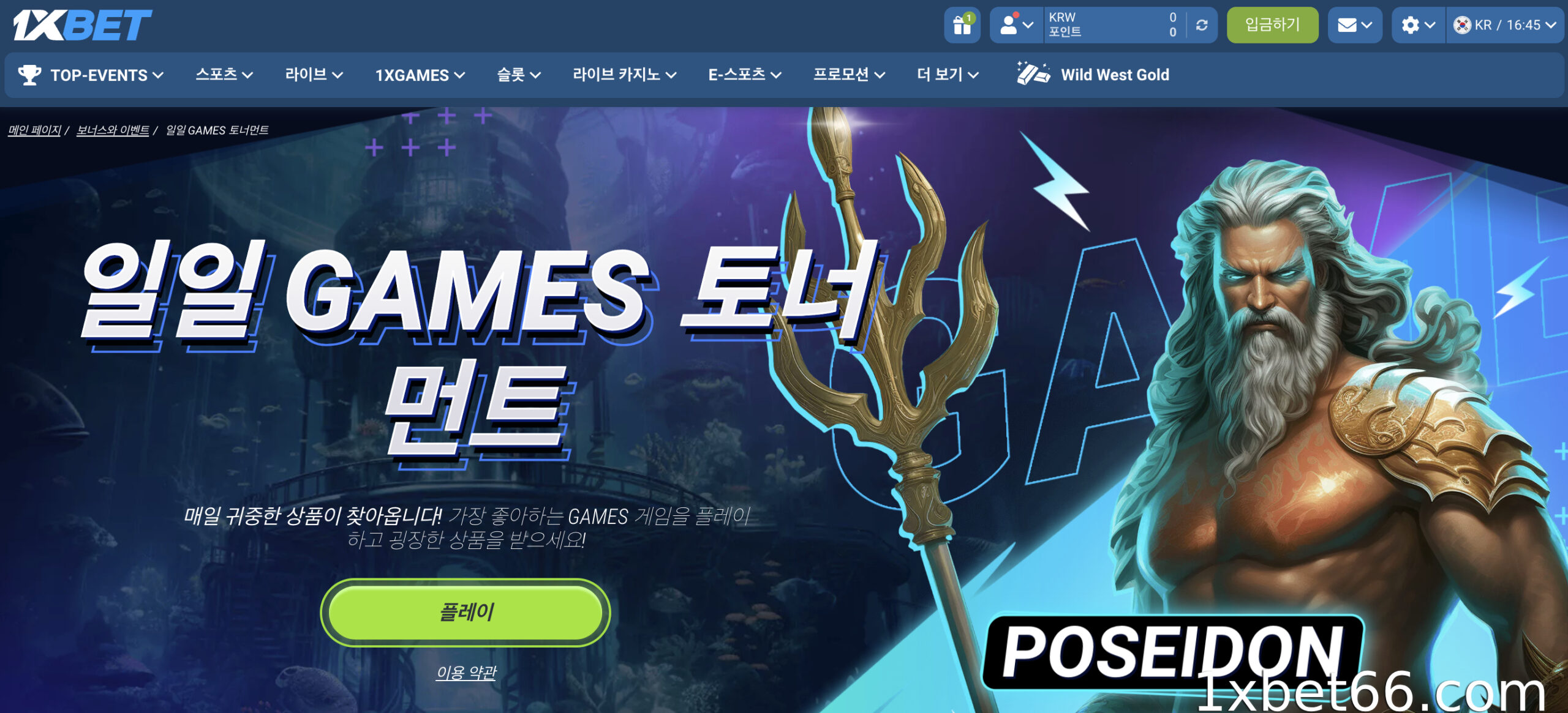 매일 진행되는 리워드 포인트 프로모션은 무엇인가요?