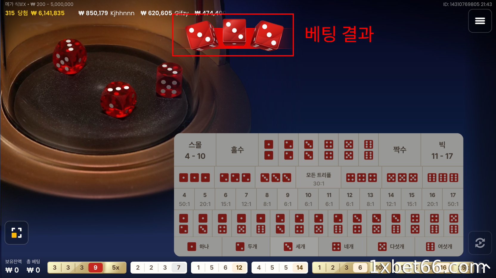 베팅 결과