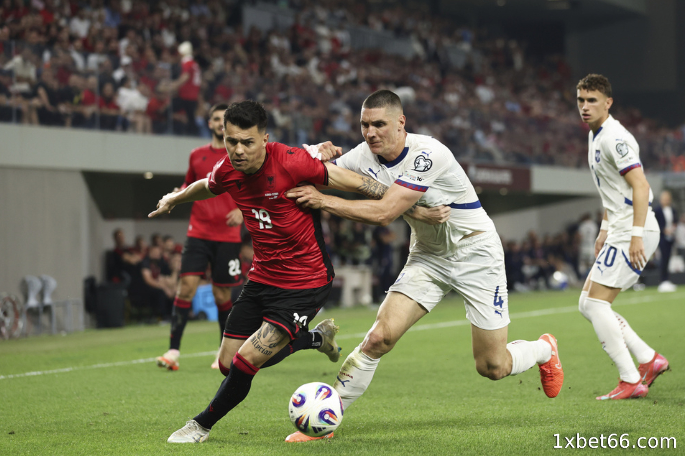 테이블 수를 8개에서 12개로 늘리세요