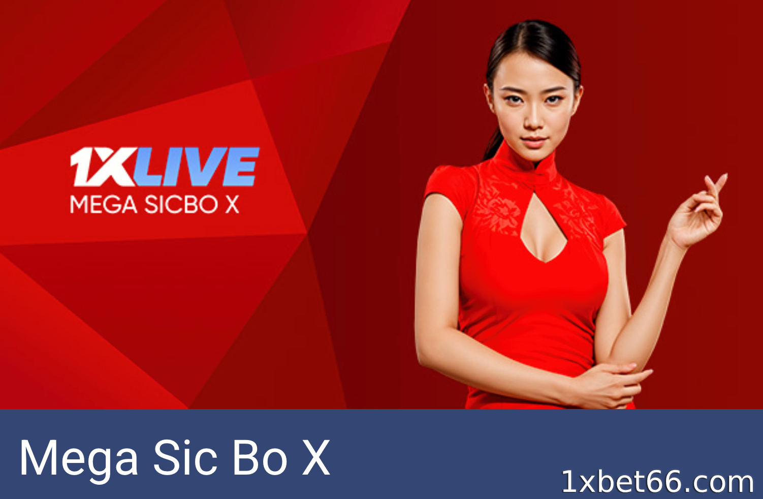 1XBET의 메가 식보 개요